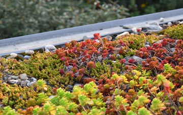 the cost of Haytor Vale green roof installation