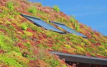 Haytor Vale living roof systems